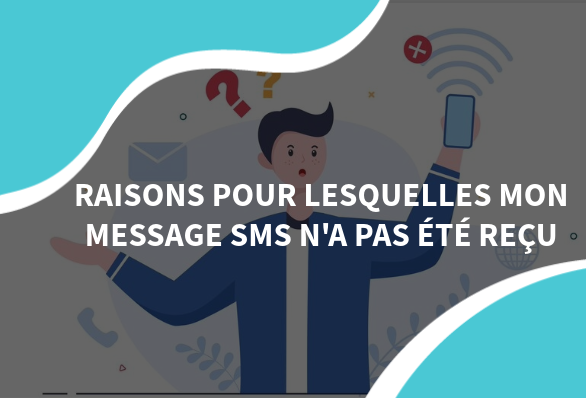 Les Raisons d'un SMS non délivré et Comment l'éviter📲